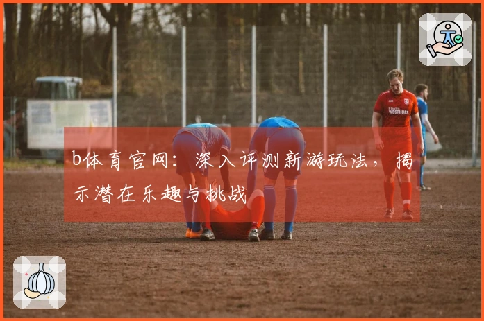 b体育官网：深入评测新游玩法，揭示潜在乐趣与挑战