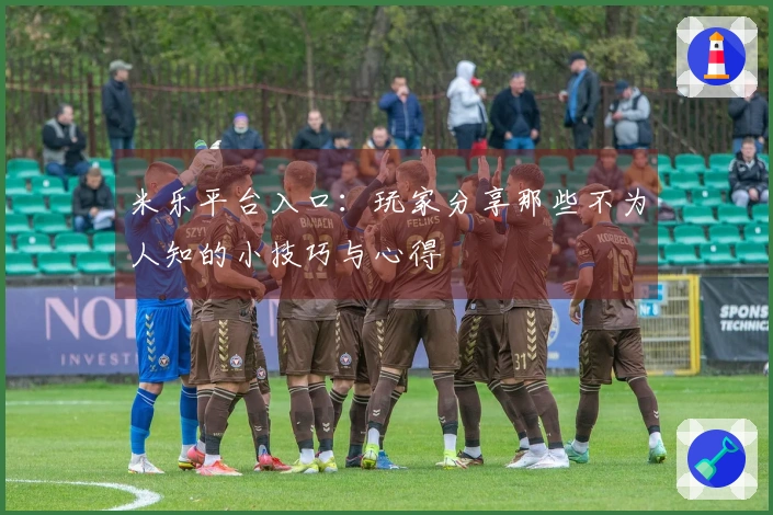 米乐平台入口：玩家分享那些不为人知的小技巧与心得