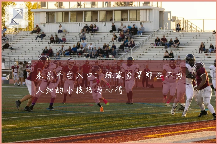 米乐平台入口：玩家分享那些不为人知的小技巧与心得