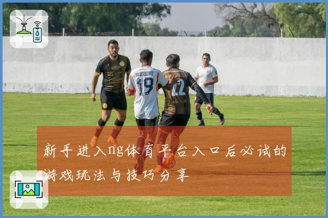 新手进入ng体育平台入口后必试的游戏玩法与技巧分享