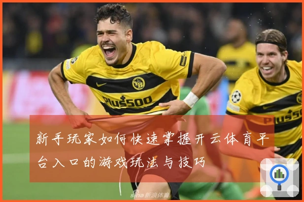 新手玩家如何快速掌握开云体育平台入口的游戏玩法与技巧